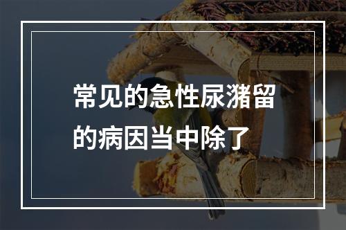 常见的急性尿潴留的病因当中除了