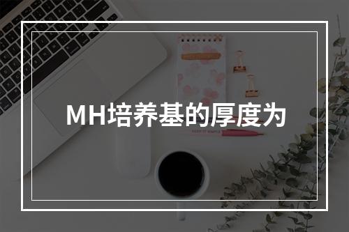 MH培养基的厚度为