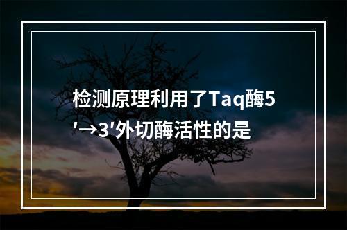 检测原理利用了Taq酶5′→3′外切酶活性的是