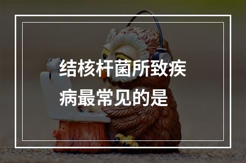 结核杆菌所致疾病最常见的是