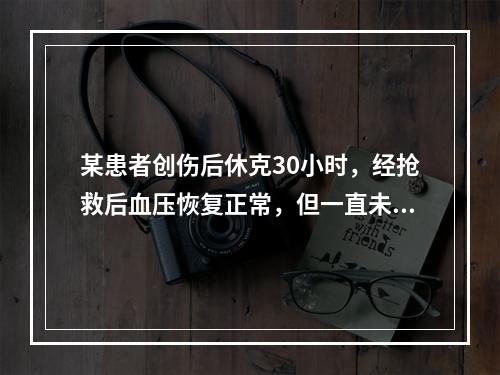 某患者创伤后休克30小时，经抢救后血压恢复正常，但一直未排尿