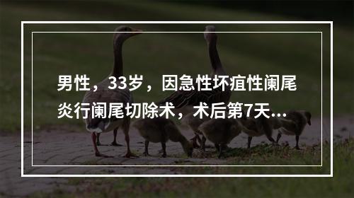 男性，33岁，因急性坏疽性阑尾炎行阑尾切除术，术后第7天切口