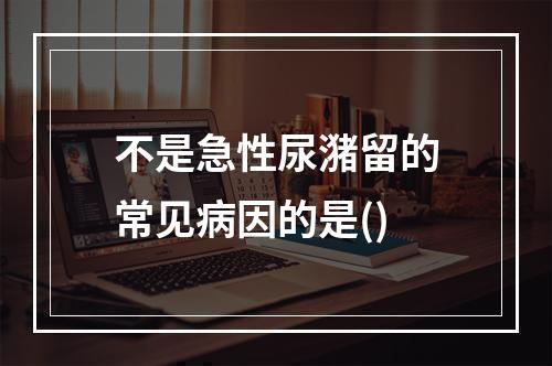 不是急性尿潴留的常见病因的是()