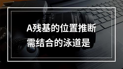 A残基的位置推断需结合的泳道是