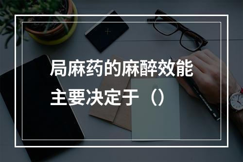 局麻药的麻醉效能主要决定于（）