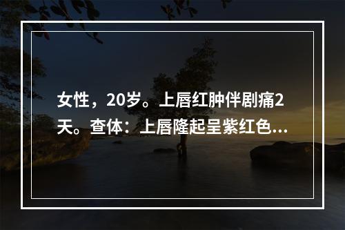 女性，20岁。上唇红肿伴剧痛2天。查体：上唇隆起呈紫红色，有