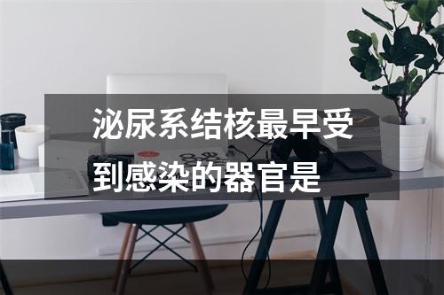 泌尿系结核最早受到感染的器官是