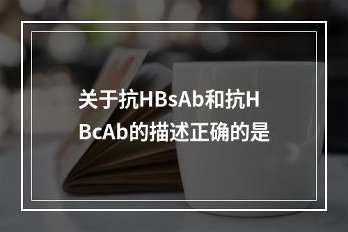 关于抗HBsAb和抗HBcAb的描述正确的是