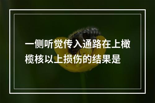 一侧听觉传入通路在上橄榄核以上损伤的结果是