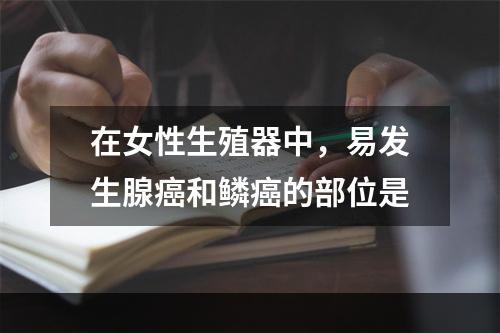 在女性生殖器中，易发生腺癌和鳞癌的部位是