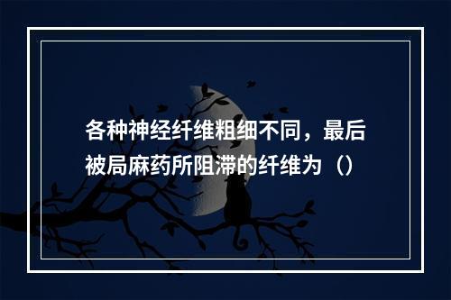 各种神经纤维粗细不同，最后被局麻药所阻滞的纤维为（）