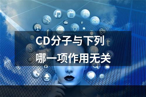 CD分子与下列哪一项作用无关