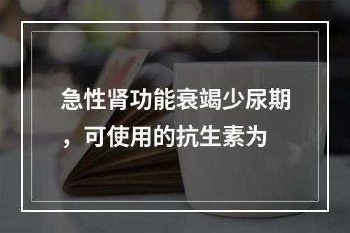 急性肾功能衰竭少尿期，可使用的抗生素为