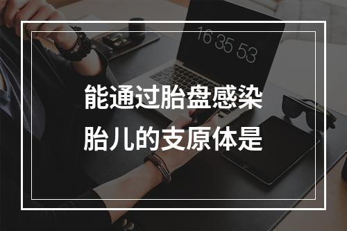 能通过胎盘感染胎儿的支原体是