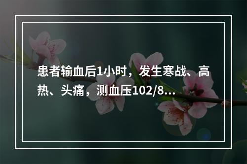 患者输血后1小时，发生寒战、高热、头痛，测血压102/80m