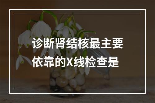 诊断肾结核最主要依靠的X线检查是