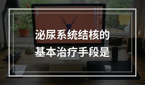 泌尿系统结核的基本治疗手段是