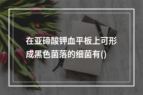 在亚碲酸钾血平板上可形成黑色菌落的细菌有()