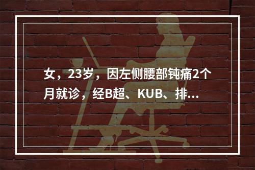 女，23岁，因左侧腰部钝痛2个月就诊，经B超、KUB、排泄性