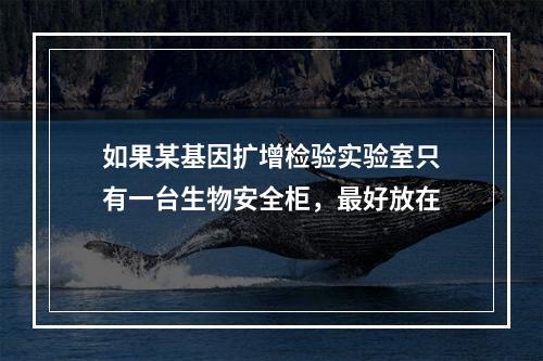 如果某基因扩增检验实验室只有一台生物安全柜，最好放在