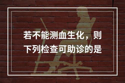 若不能测血生化，则下列检查可助诊的是