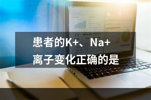 患者的K+、Na+离子变化正确的是