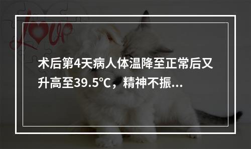 术后第4天病人体温降至正常后又升高至39.5℃，精神不振，寒