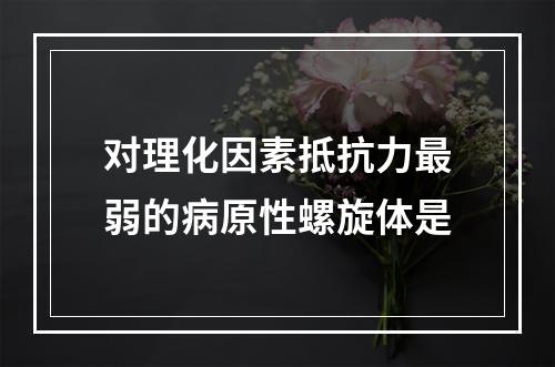 对理化因素抵抗力最弱的病原性螺旋体是