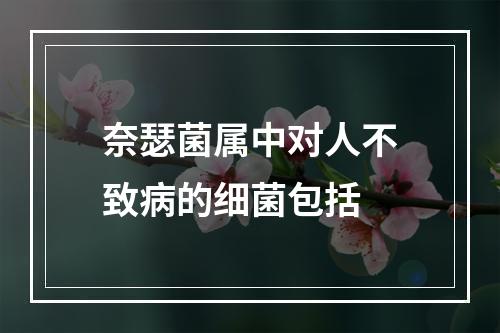 奈瑟菌属中对人不致病的细菌包括