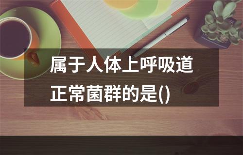 属于人体上呼吸道正常菌群的是()