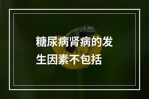 糖尿病肾病的发生因素不包括