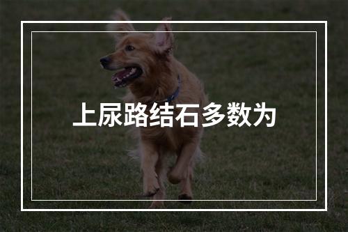 上尿路结石多数为