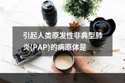 引起人类原发性非典型肺炎(PAP)的病原体是