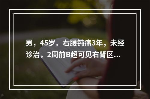 男，45岁。右腰钝痛3年，未经诊治，2周前B超可见右肾区有鹿