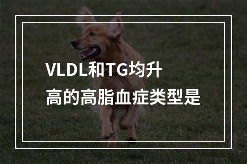 VLDL和TG均升高的高脂血症类型是