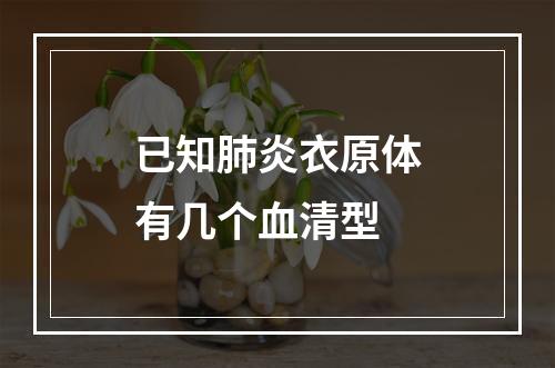 已知肺炎衣原体有几个血清型