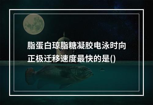 脂蛋白琼脂糖凝胶电泳时向正极迁移速度最快的是()