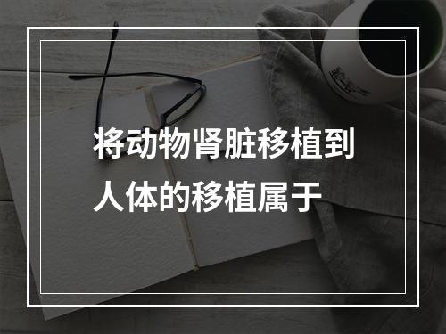 将动物肾脏移植到人体的移植属于