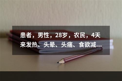 患者，男性，28岁，农民，4天来发热、头晕、头痛、食欲减退。