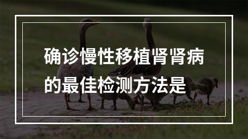 确诊慢性移植肾肾病的最佳检测方法是