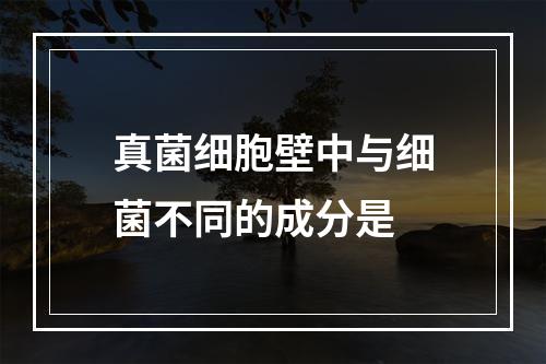 真菌细胞壁中与细菌不同的成分是