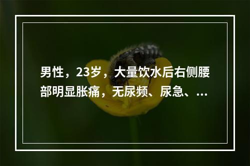 男性，23岁，大量饮水后右侧腰部明显胀痛，无尿频、尿急、尿痛