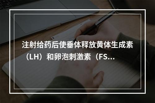 注射给药后使垂体释放黄体生成素（LH）和卵泡刺激素（FSH）