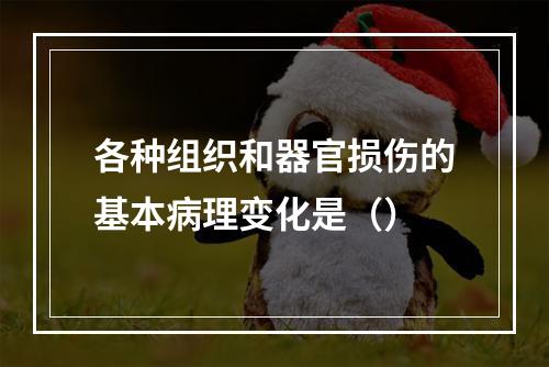 各种组织和器官损伤的基本病理变化是（）