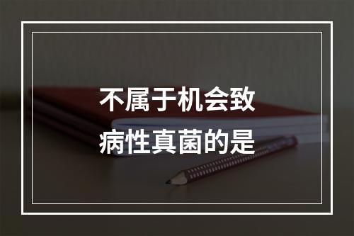 不属于机会致病性真菌的是