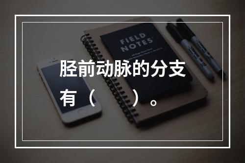 胫前动脉的分支有（　　）。