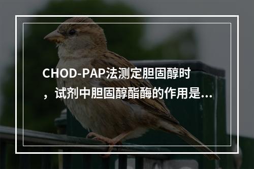 CHOD-PAP法测定胆固醇时，试剂中胆固醇酯酶的作用是()