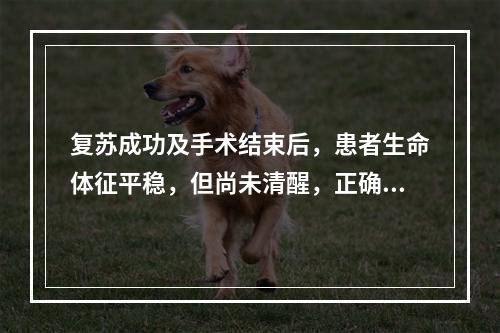 复苏成功及手术结束后，患者生命体征平稳，但尚未清醒，正确的处