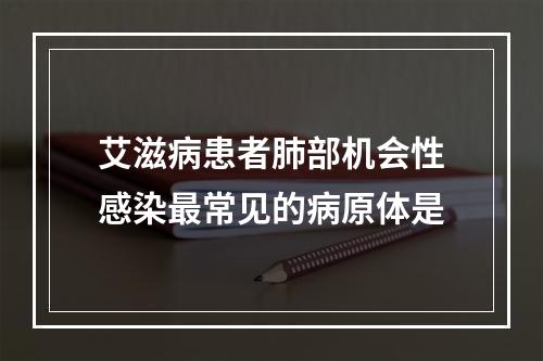 艾滋病患者肺部机会性感染最常见的病原体是