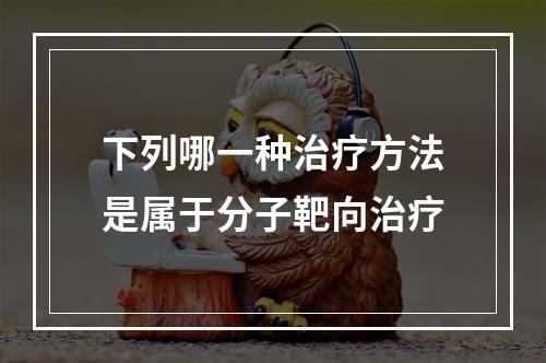 下列哪一种治疗方法是属于分子靶向治疗